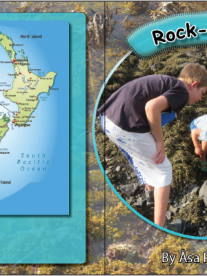 Rock Pooling